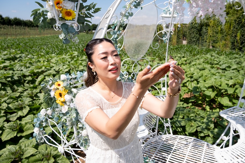 A butterfly being released as part of the weekend release during the Magic of Sunflowers experience