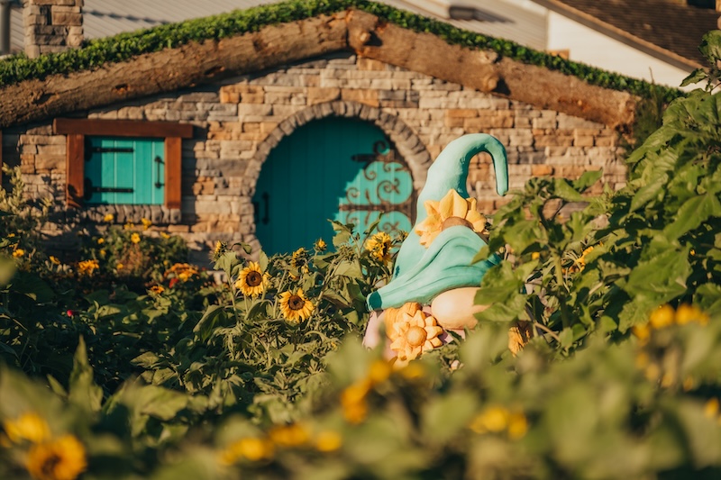 Gnomes at the Magical Sunflower Garden that people come from Vancouver to experience