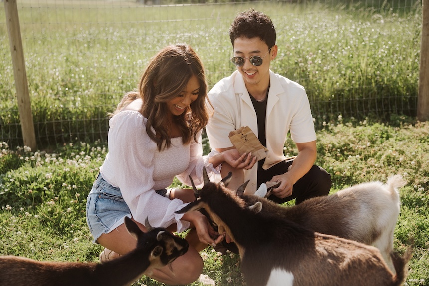 Folks from Vancouver having the best time petting goats and other animals