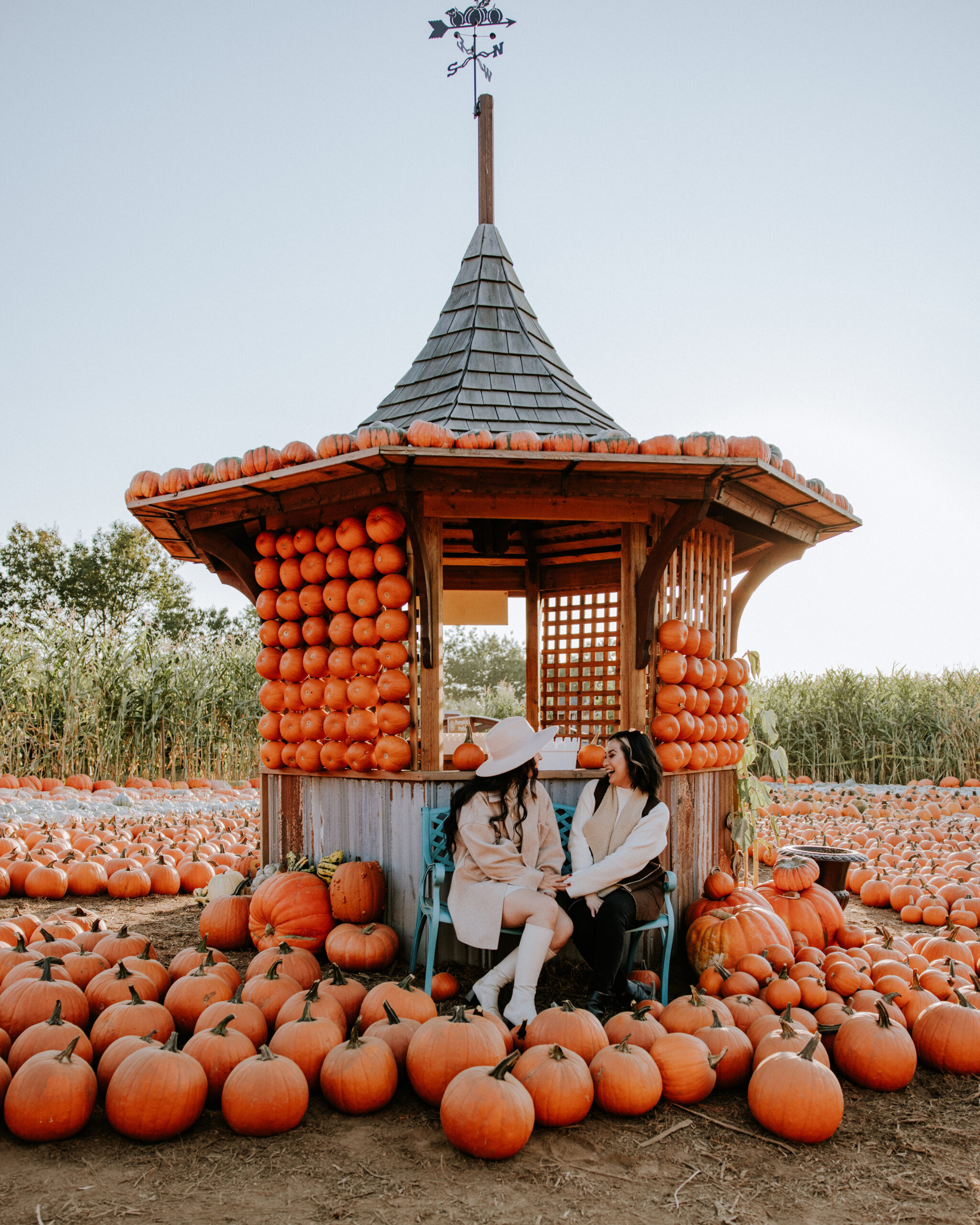 U-Pick at the pumpkin patch with a child and mom from Vancouver, BC