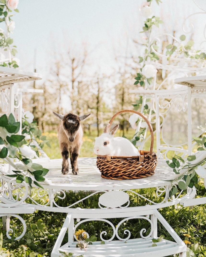 U-Pick at the pumpkin patch with a child and mom from Vancouver, BC