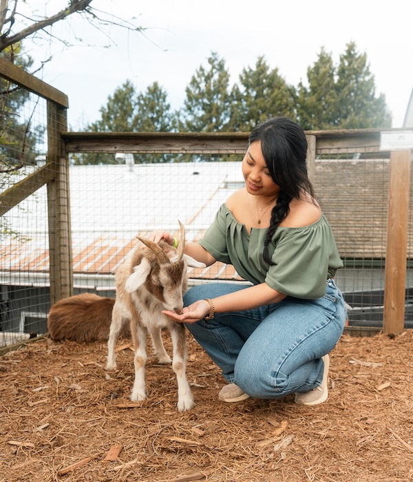 Folks from Vancouver having the best time petting goats and other animals