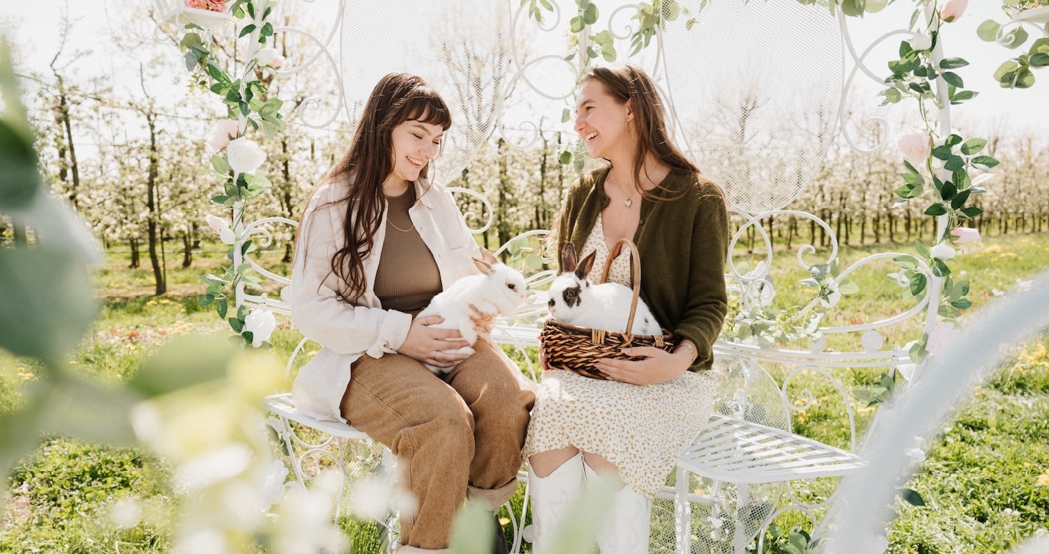 The Magic of Sunflowers Experience For People From Vancouver to Abbotsford