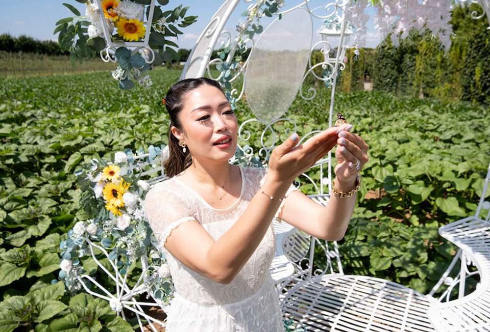 A butterfly being released as part of the weekend release during the Magic of Sunflowers experience