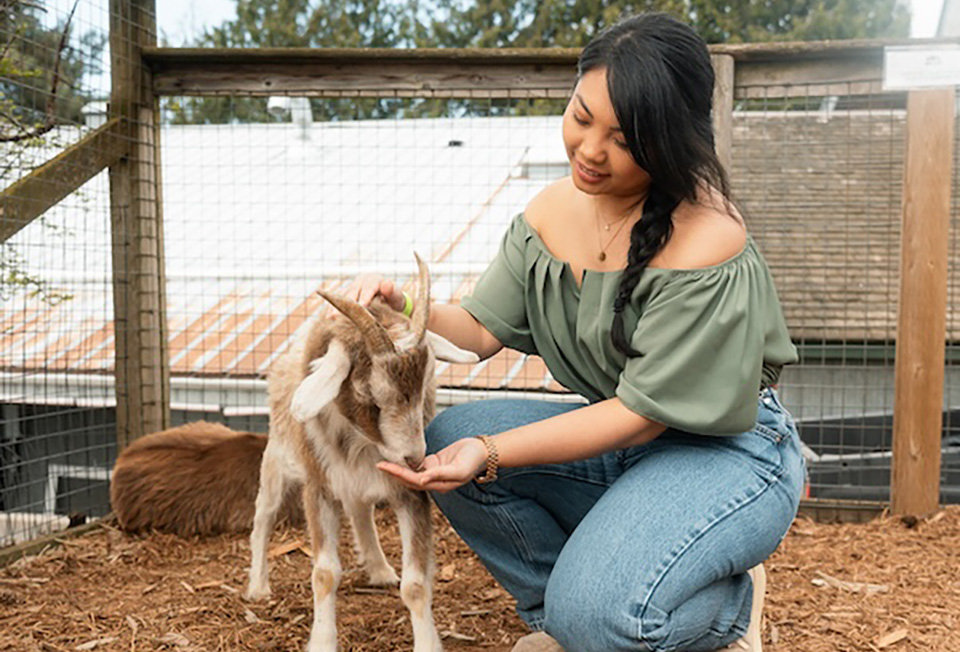 Folks from Vancouver having the best time petting goats and other animals