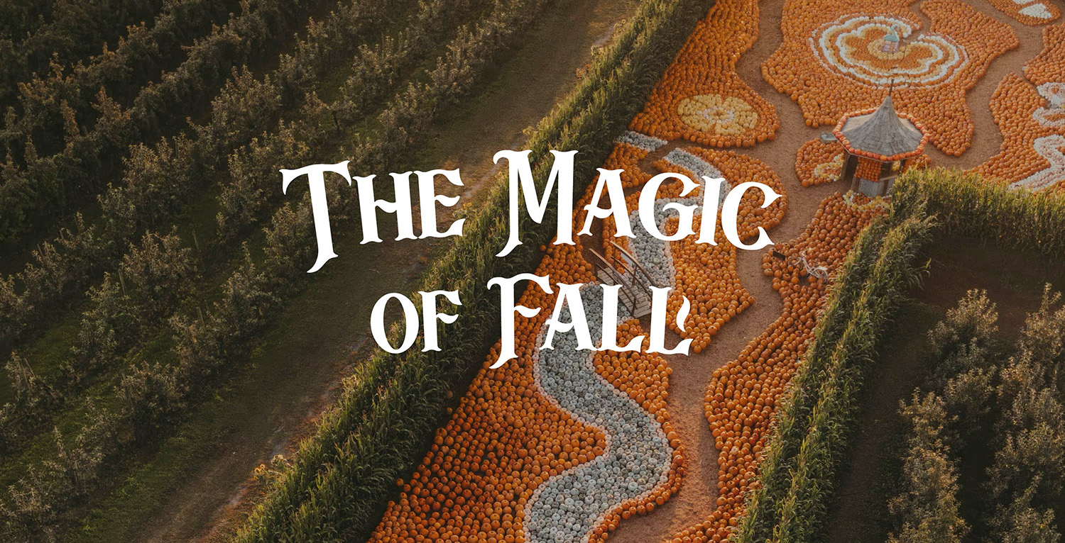The Magic of Fall at Taves Family Farms - pumpkin garden at Abbotsford, BC